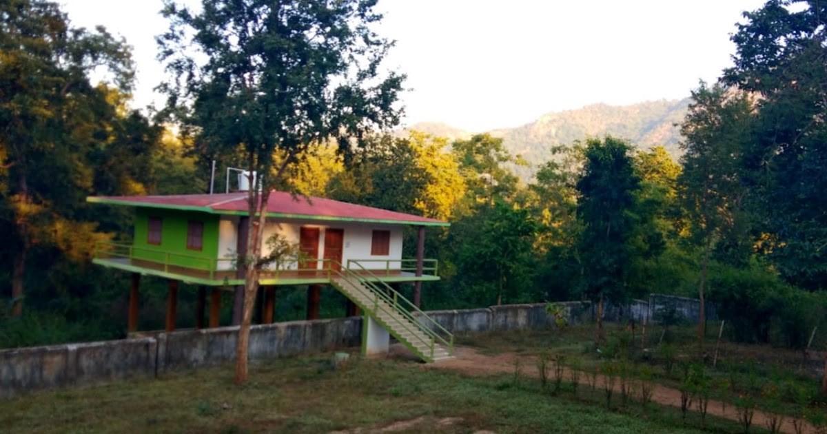 Maromar Forest Treehouse — stilted treehouse at the forest boundary inside Palamau Tiger Reserve, Latehar, Jharkhand