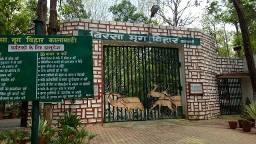 Khunti Deer Park — spotted deer in sal forest enclosure near Khunti town, Khunti district, Jharkhand