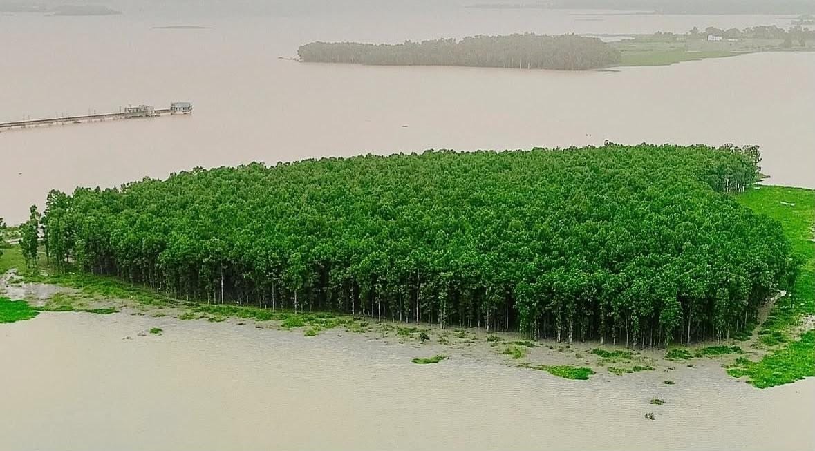 Rukka Dam reservoir — calm water with forested hills, Ormanjhi area, Ranchi district, Jharkhand