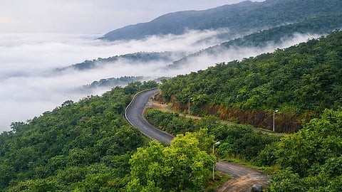 Meghahatuburu hilltop — SAIL garden and Saranda Forest panorama from cloud-touching hill, West Singhbhum, Jharkhand