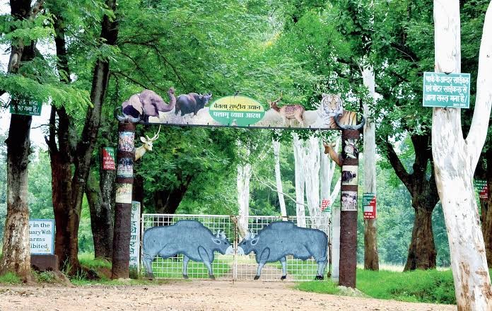 Betla National Park — Palamau Tiger Reserve jeep safari through sal forest, Latehar district, Jharkhand