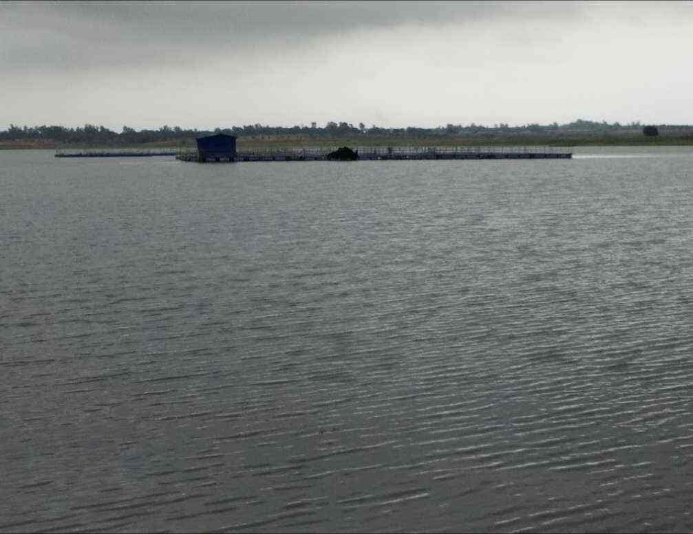 Rajdaha Lake Giridih — still deep forest lake in granite plateau hills, Giridih district, Jharkhand