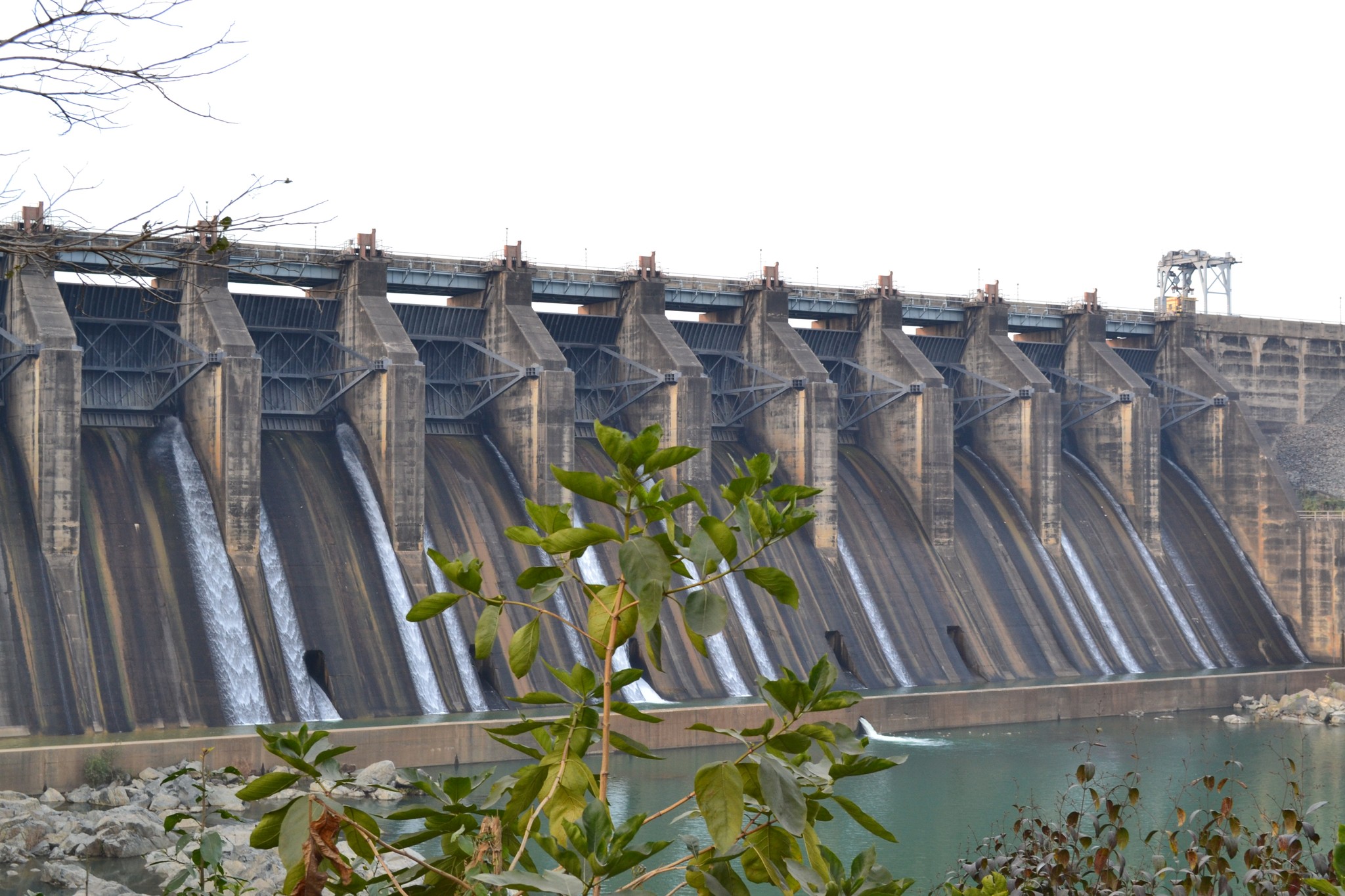 Maithon Dam reservoir — forested Deer Park Island in DVC reservoir, Dhanbad district, Jharkhand