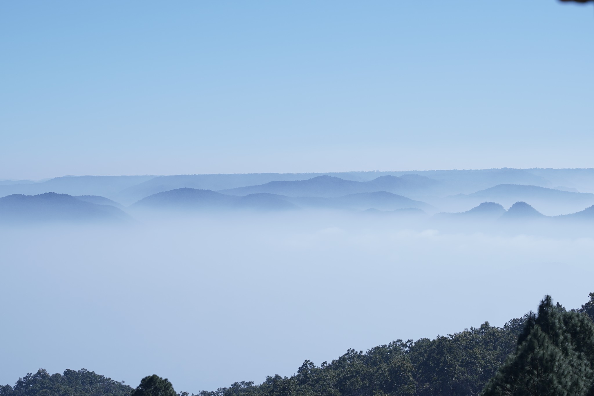 The Eco Triangle | 2 Nights, 3 Days — tour package in Jharkhand