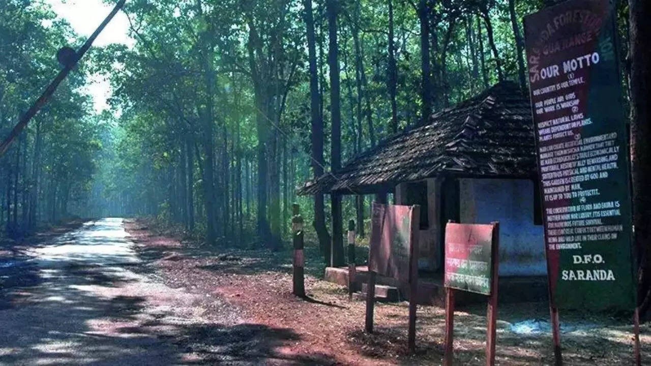 Saranda Forest — Asia's largest sal forest with rolling hills and tribal villages, West Singhbhum, Jharkhand